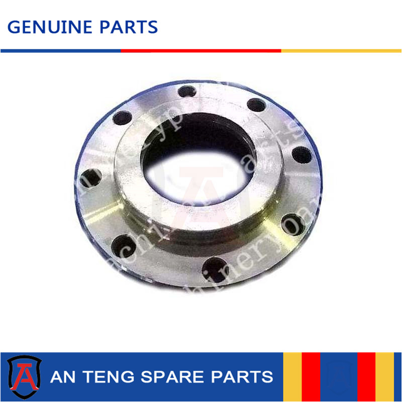 250300136 flange ZL50.8-17