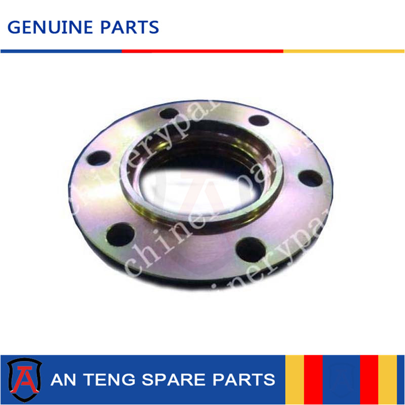 250100181 Z3.8-10 flange